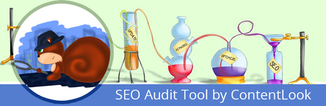 seo audit for wordpress